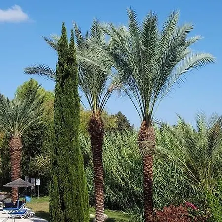 Paradise Gardens Iv